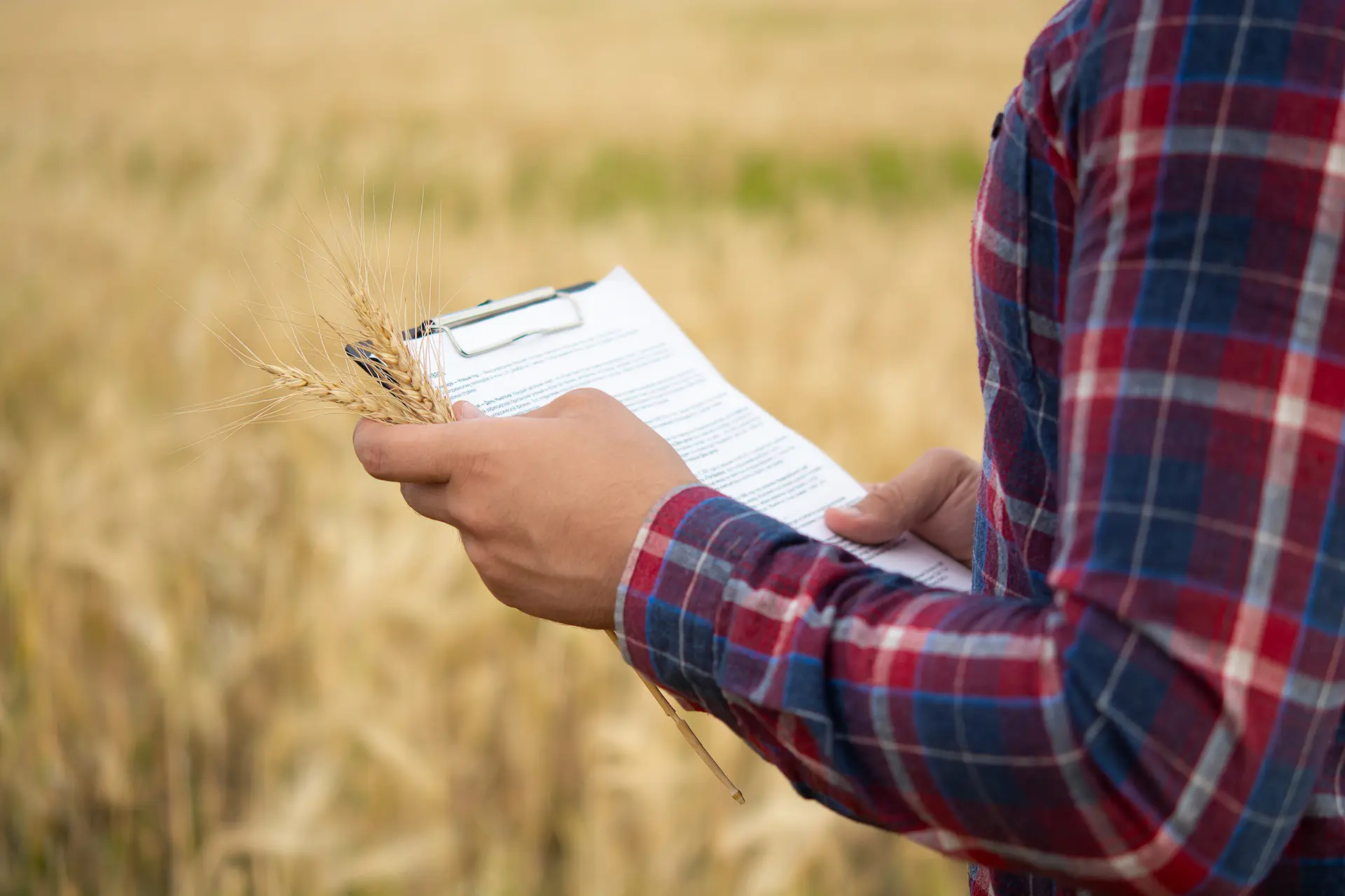 Licenciamento RuralSolo Brasil Licenciamento RuralSolo Brasil